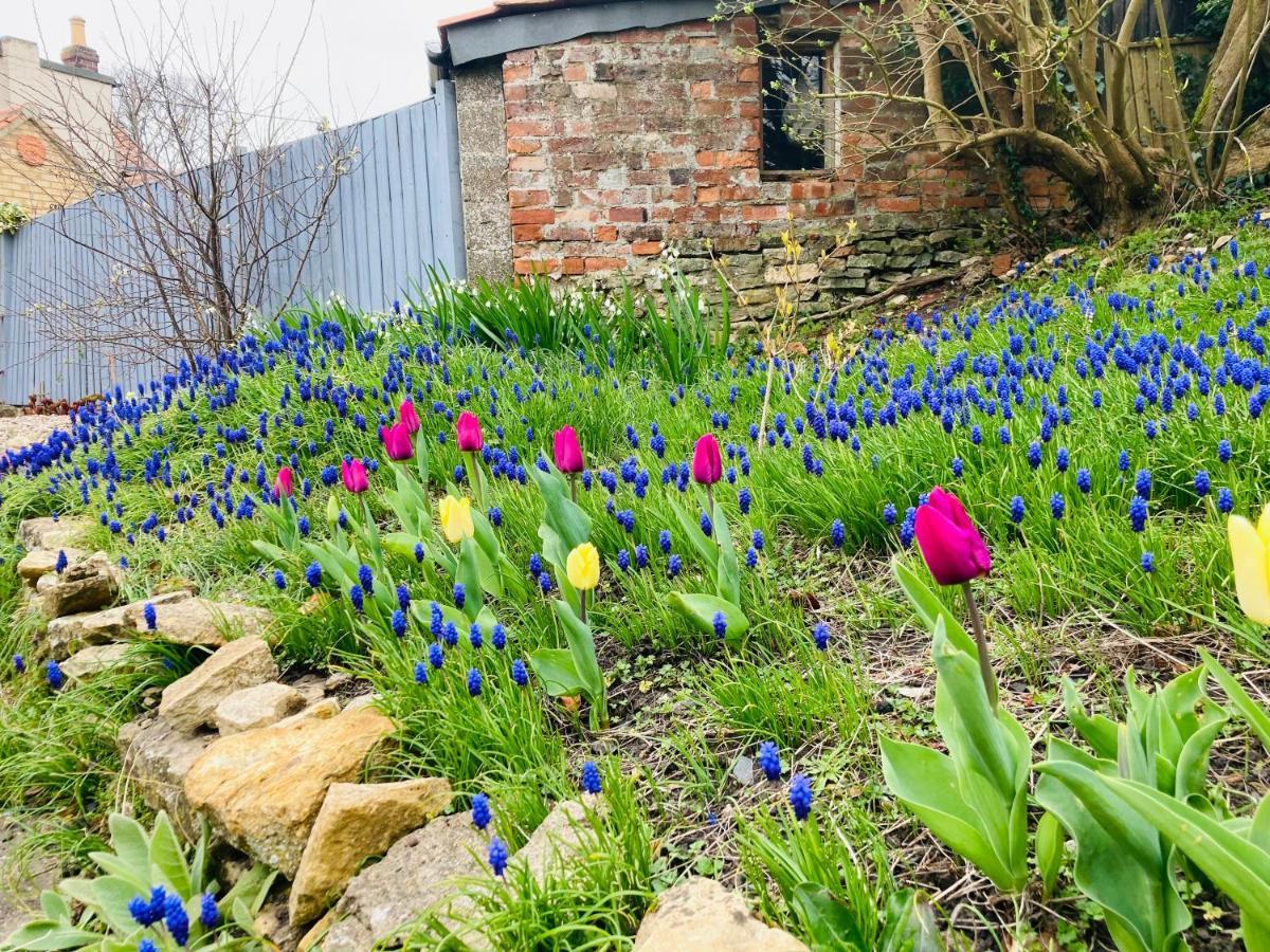 Cosy Cottage Four Miles From Lincoln City Centre Exterior foto